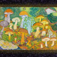Guylaine Duval –artiste du vivant